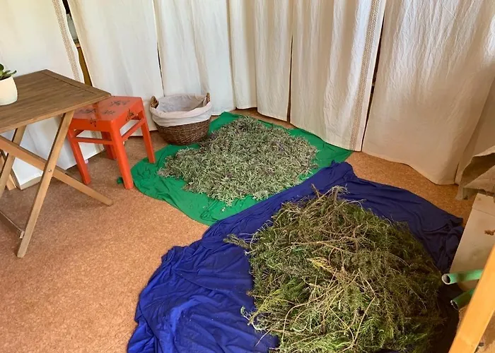 Villa Hacienda Noa Grohote