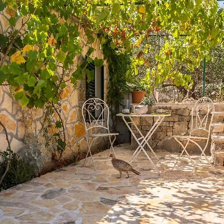 Hacienda Noa Grohote